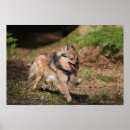 Pesquisar por chicote de fios pósteres Cão
