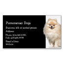 Pesquisar por pet sitter Cães