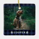 Pesquisar por dog ornamentos Para pets