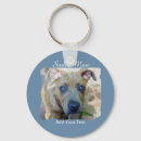 Pesquisar por bulls chaveiros Cão