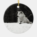 Pesquisar por lobo preto ornamentos Vida selvagem
