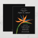 Pesquisar por do pássaro casal convites Floral