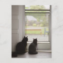 Pesquisar por porte postal do gato Animal
