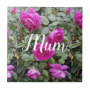 Pesquisar por cor de rosa azulejos Mães