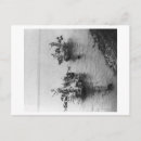 Pesquisar por chow chow cartoes postais Pesca