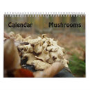 Pesquisar por cogumelos calendarios Floresta