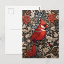 Pesquisar por pássaros vintage cartoes postais Cardinal
