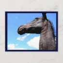 Pesquisar por potro cartoes postais Fofo