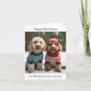 Pesquisar por goldendoodle cartoes Dourada