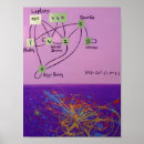 Pesquisar por partículas pôsteres pósteres Abstrato