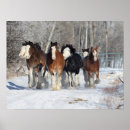 Pesquisar por cavalo clydesdale artes pósteres Clydesdales
