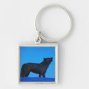 Pesquisar por lobo lobo branco chaveiros Animal