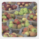 Pesquisar por macintosh Colheita