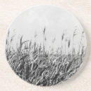 Pesquisar por dunas porta copos Fotografia