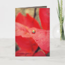 Pesquisar por polka dot cartoes postais Qualquer pessoa