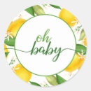 Pesquisar por cha de bebe adesivos Mães à espera