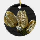 Pesquisar por sementes ornamentos Natureza