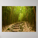 Pesquisar por bambu verde pôsteres pósteres Fotografia