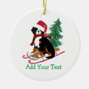 Pesquisar por sled ornamentos Para todos