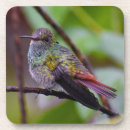Pesquisar por hummingbird porta copos Beija flor