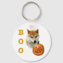 Pesquisar por shiba inu acessorios Canino
