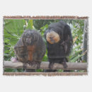 Pesquisar por primate mantas Fofofo