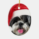 Pesquisar por shitzu ornamentos Cachorrinho de natal