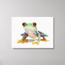 Pesquisar por répteis impressão de canvas Realce digital