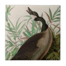 Pesquisar por américa azulejos Natureza