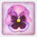 Pesquisar por flor do amor perfeito Roxo