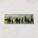 Pesquisar por éguas cartao de visita Potro