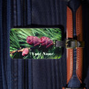 Pesquisar por cone a bagagem tags Pinho