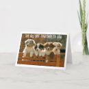 Pesquisar por criadores cartoes Aniversário