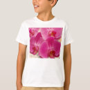 Pesquisar por phalaenopsis Flores
