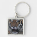 Pesquisar por tigre siberian chaveiros Perigo