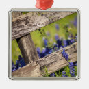 Pesquisar por prado ornamentos Primavera