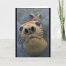 Pesquisar por selagem cartoes postais Fotografia