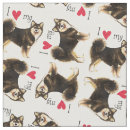 Pesquisar por lapphund Lapinkoira