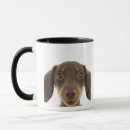 Pesquisar por dachshund marrom canecas Animal