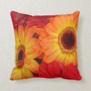 Pesquisar por gerbera alaranjado Vermelho