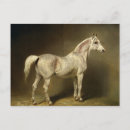 Pesquisar por 1855 cartoes postais Retrato