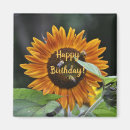 Pesquisar por sunflower imas Amarelo