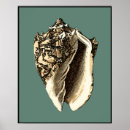 Pesquisar por tesouro pôsteres pósteres Mar