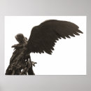 Pesquisar por idade nova pôsteres pósteres Anjo