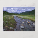 Pesquisar por parque nacional do denali Souvenir