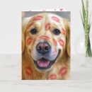 Pesquisar por feliz do golden retriever cartoes Fofo