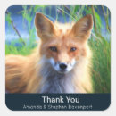 Pesquisar por raposa vermelha adesivos Obrigado