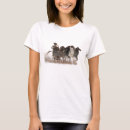 Pesquisar por chariots roupas Cavalos