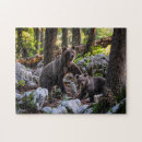 Pesquisar por filhote de urso Qualquer pessoa