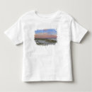 Pesquisar por t shirt de theodore roosevelt camisetas Humor